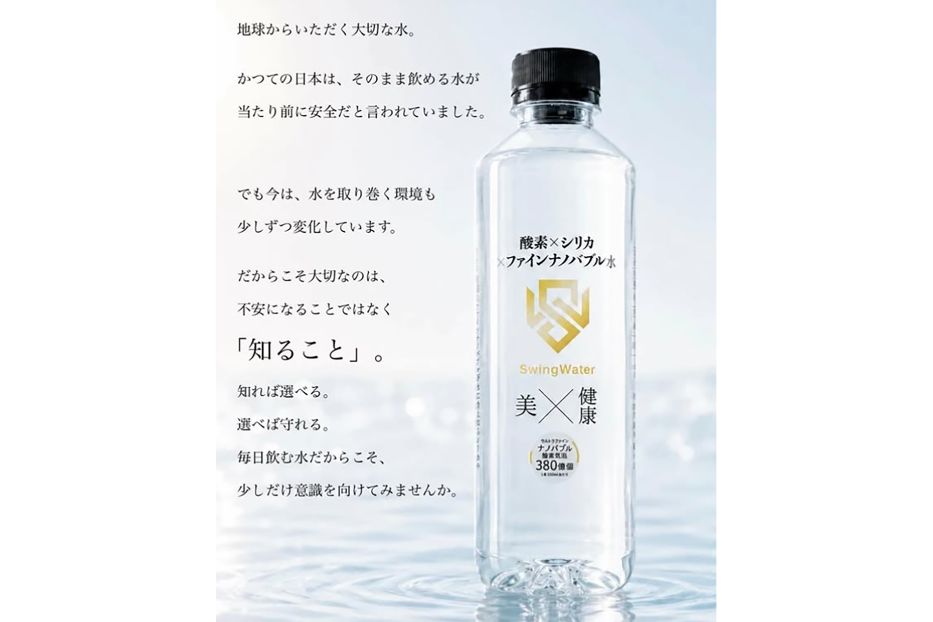 ギャラリー